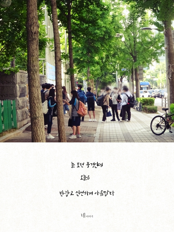 오랜만에 보는 풍경이다 반갑고 아름답다.jpg