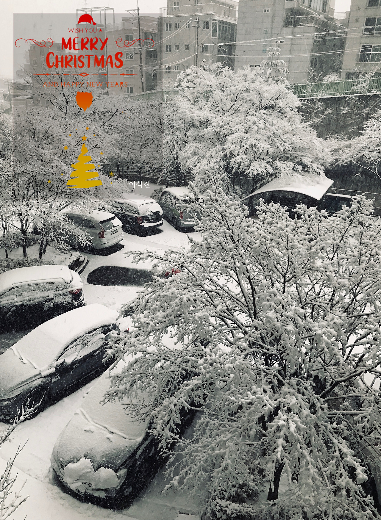메리크리스마스.jpg