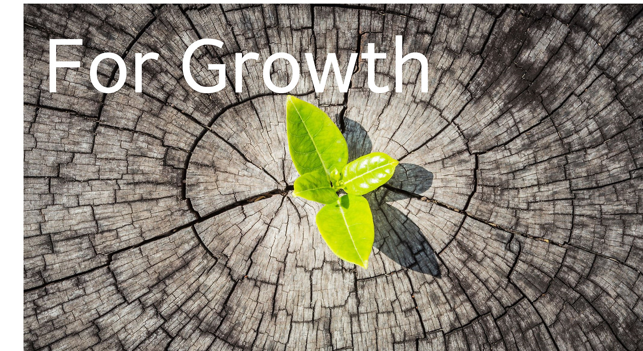 13-4.growth jpg.jpg