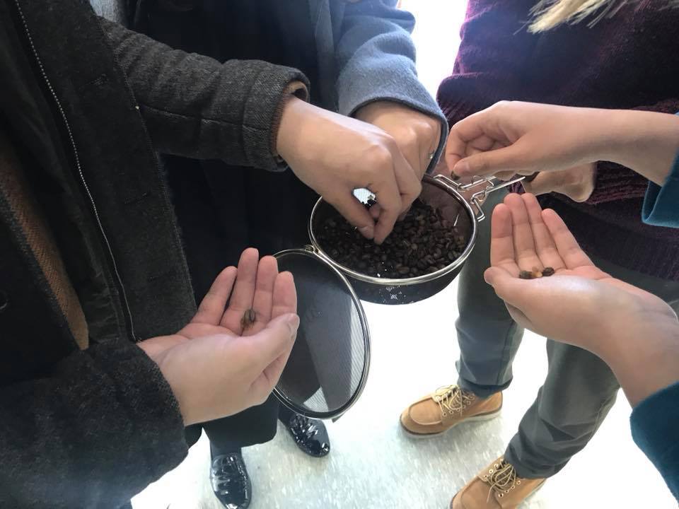 커피콩 고르기.jpg