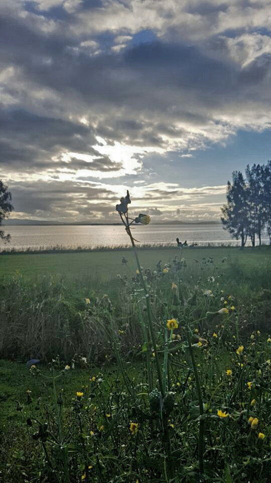 2017-06-14 21.00.05.jpg