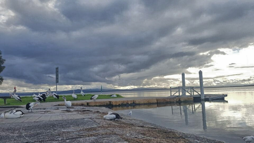 2017-06-14 20.58.28.jpg