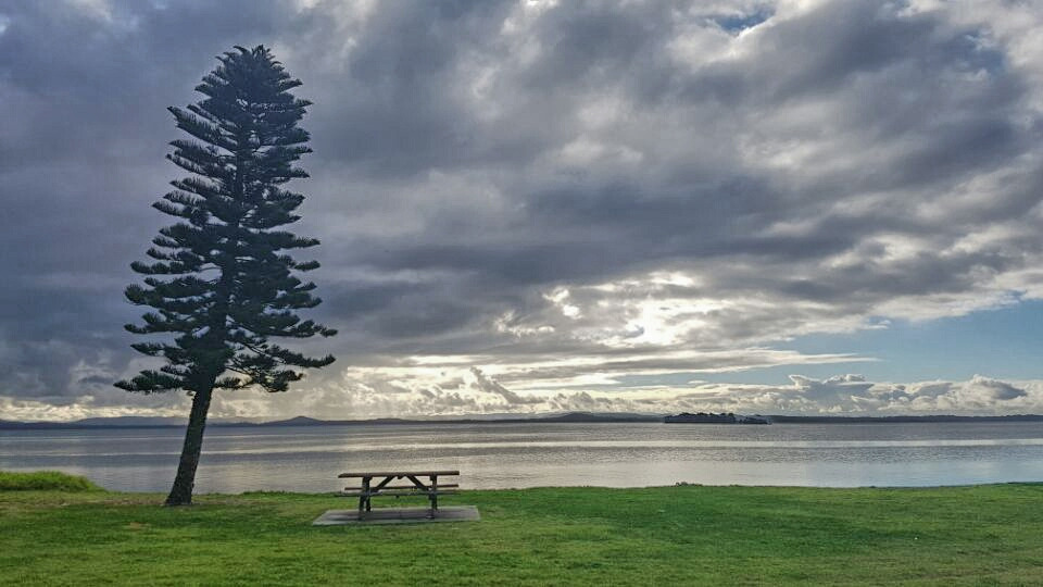 2017-06-14 20.55.32.jpg