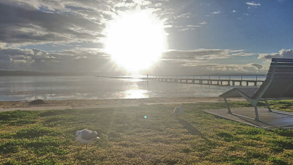 2017-06-14 21.00.33.jpg