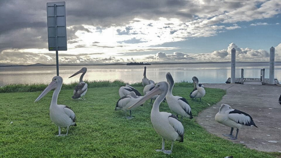 2017-06-14 20.59.12.jpg