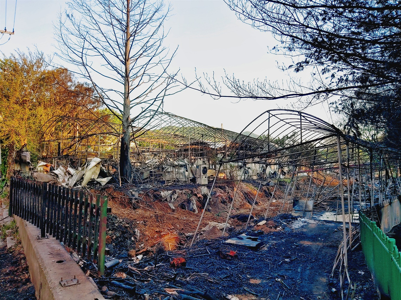 KakaoTalk_20220628_100042729_01 (1).jpg