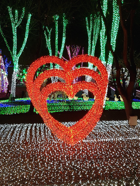 사본 -20161126_195045.jpg