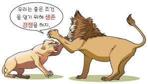 생존경쟁.jpg