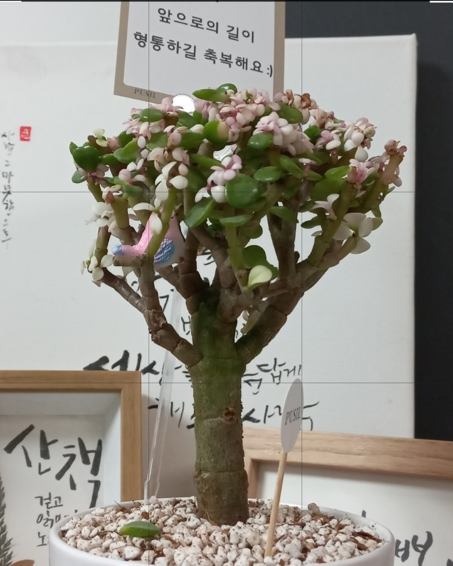 KakaoTalk_20220906_201241761.jpg