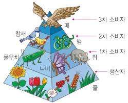 생태계.jpg