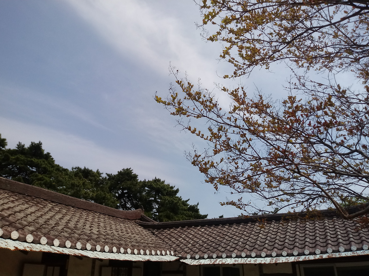 KakaoTalk_20190501_114124288_29.jpg