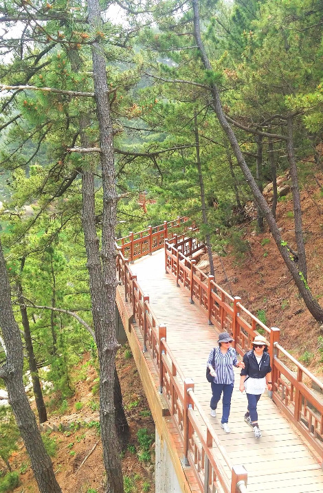 사진6-찬찬히 걸으며 지친 마음을 다독여 본다..jpg