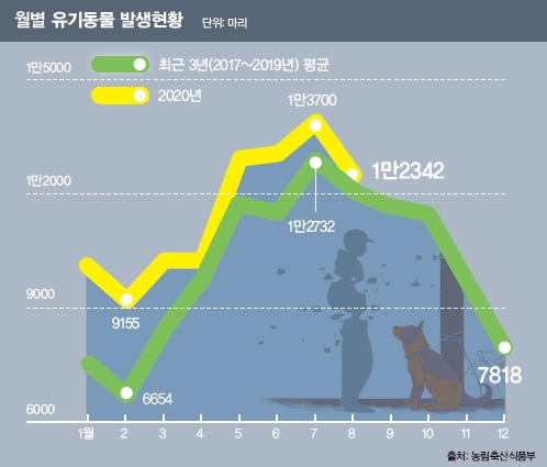 유기동물 수.jpg