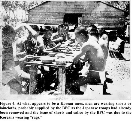 나우루 캡처.jpg