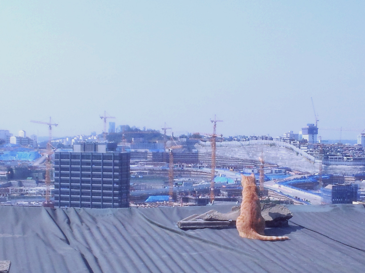 2012-10-07 12.10.43.jpg