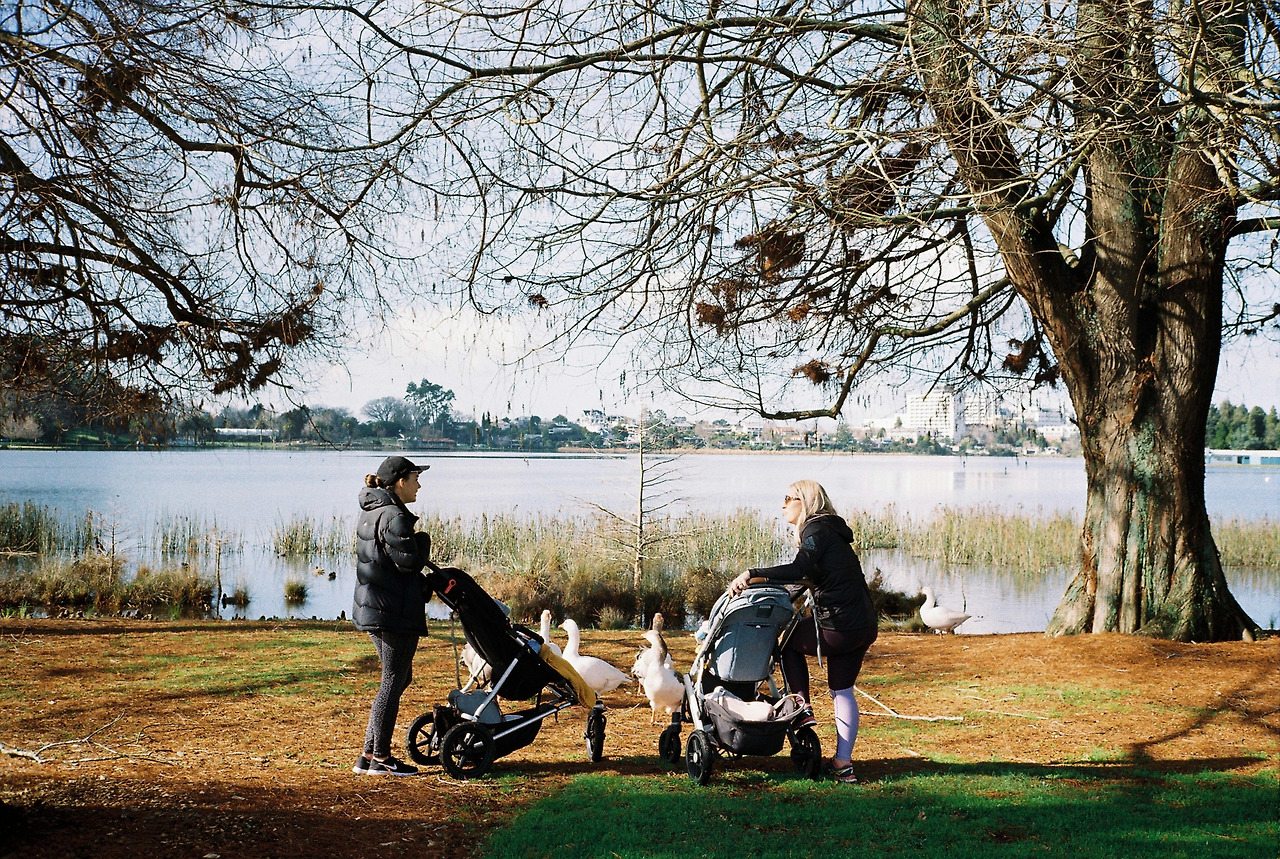 201908해밀턴 레이크_호수 산책_오리.jpg
