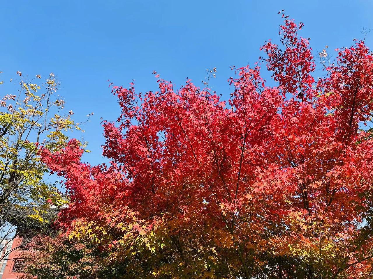 WeChat Image_20221028153510.jpg