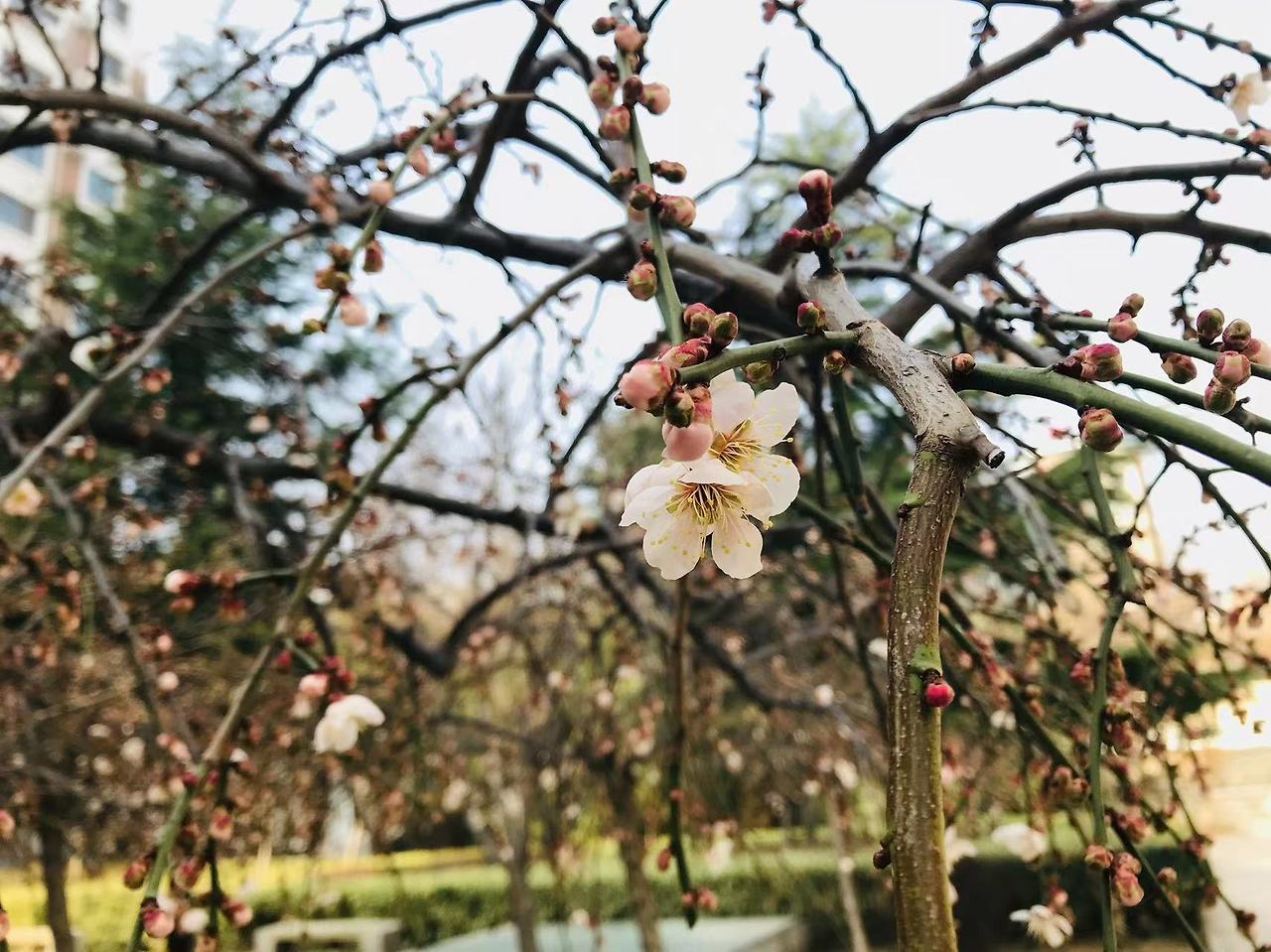 WeChat Image_20220925002434.jpg