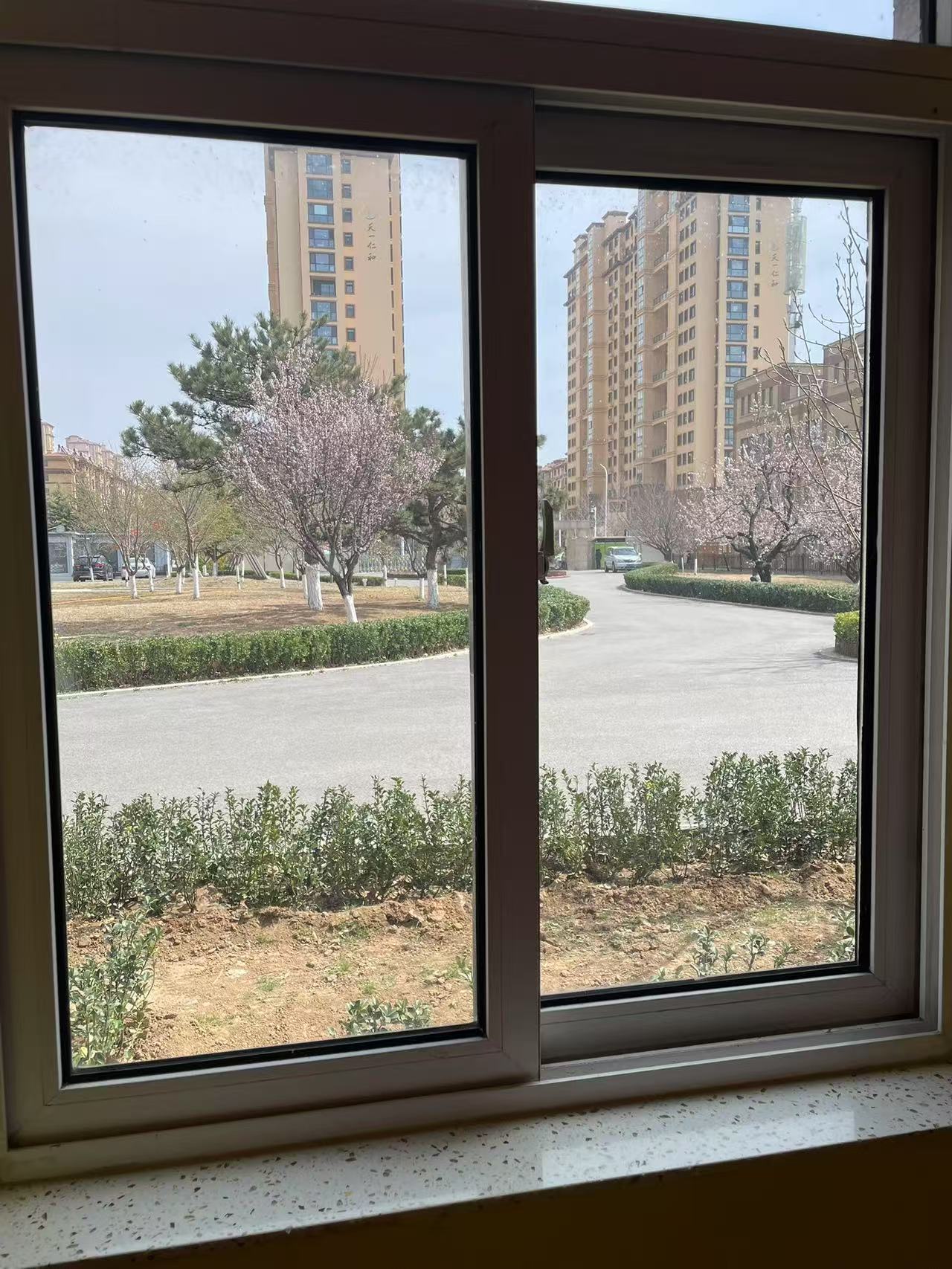 Weixin Image_20250619141312.jpg