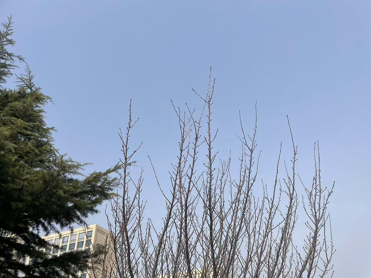 Weixin Image_20250611160014.jpg