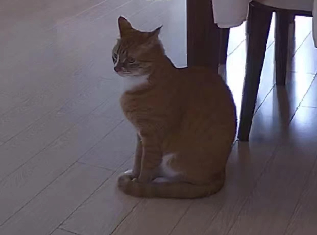 WeChat Image_20221006103334.jpg