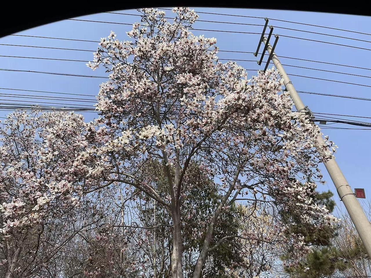 Weixin Image_20250611160030.jpg