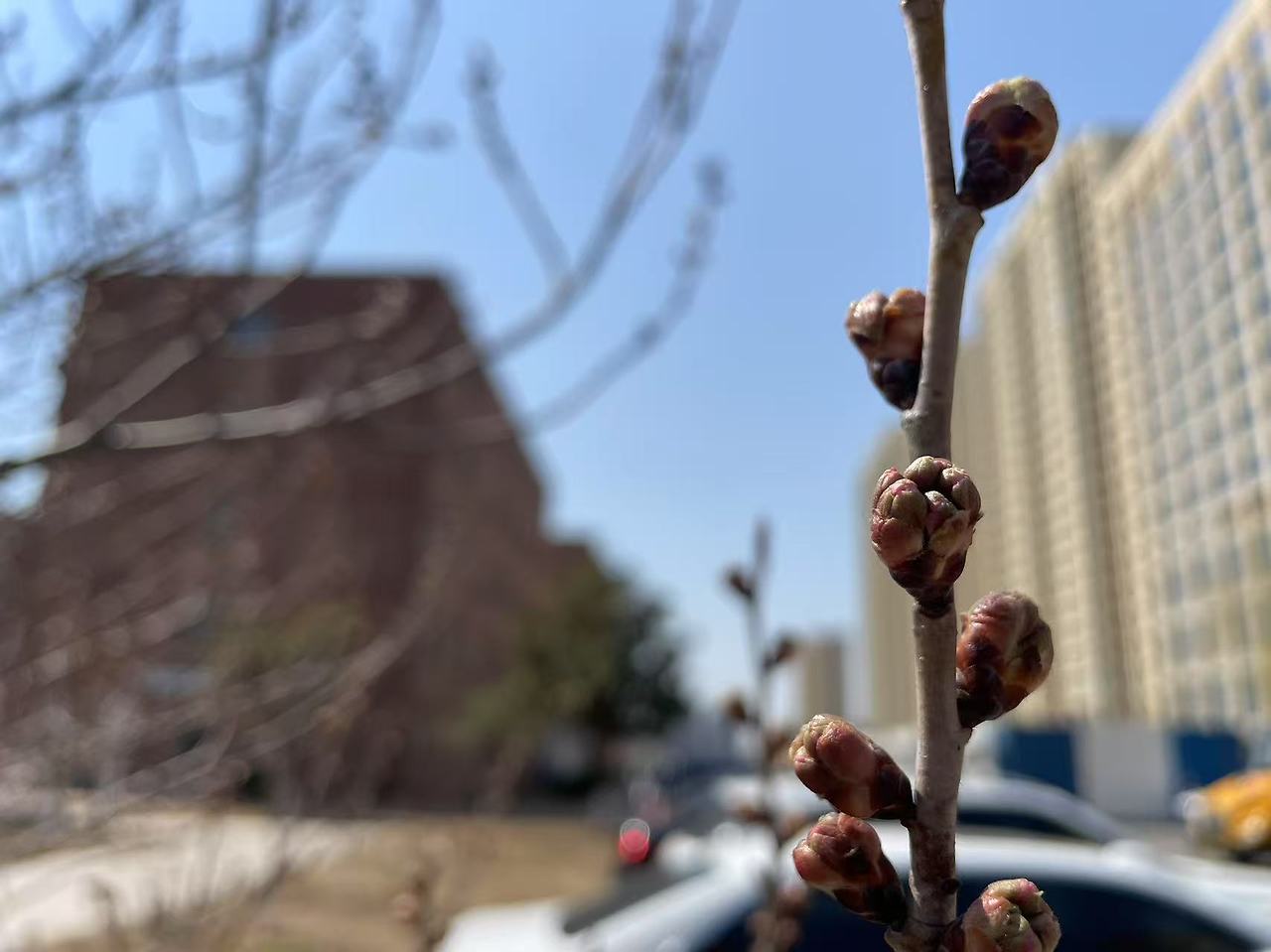 Weixin Image_20250619135421.jpg