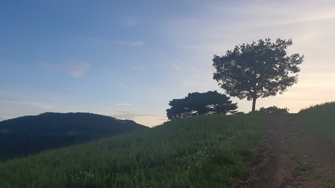 커피.여행..그리고 일상에 대한 끄적임_사진_20230728_2.jpg