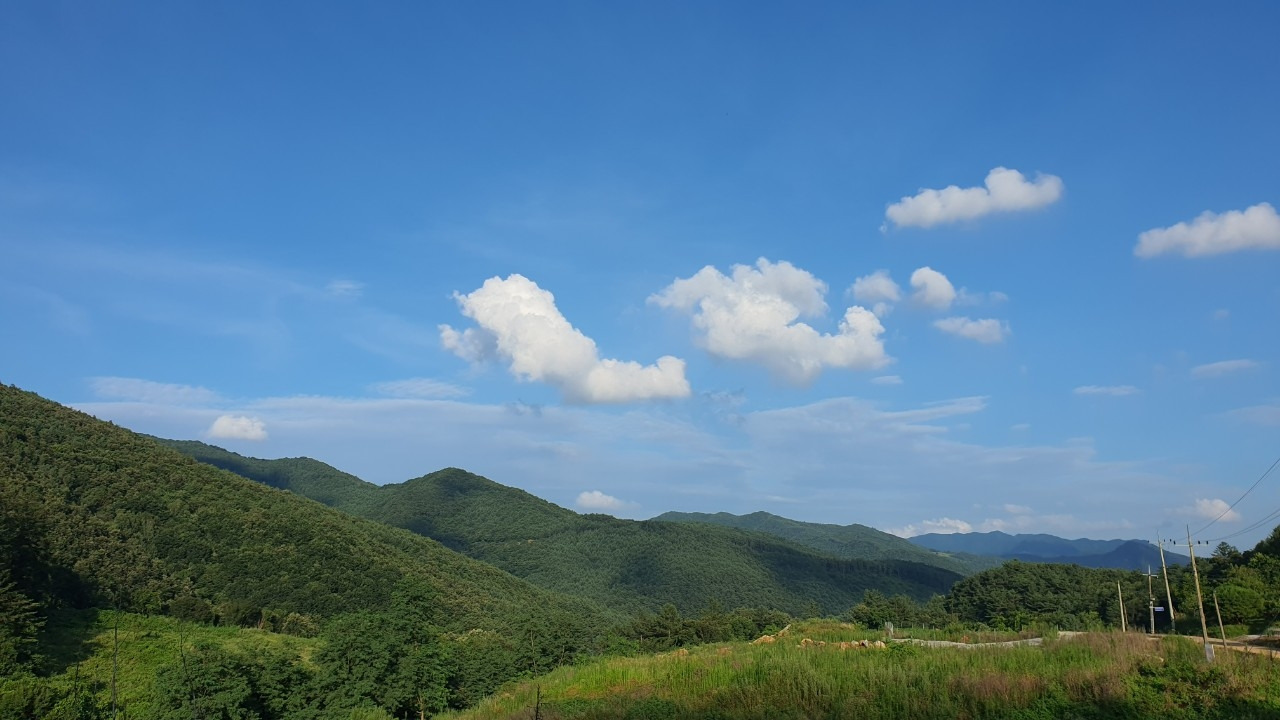 커피.여행..그리고 일상에 대한 끄적임_사진_20230728_8.jpg