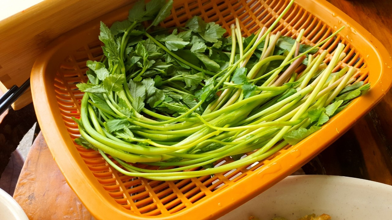 커피.여행..그리고 일상에 대한 끄적임_사진_20230507_2.jpg