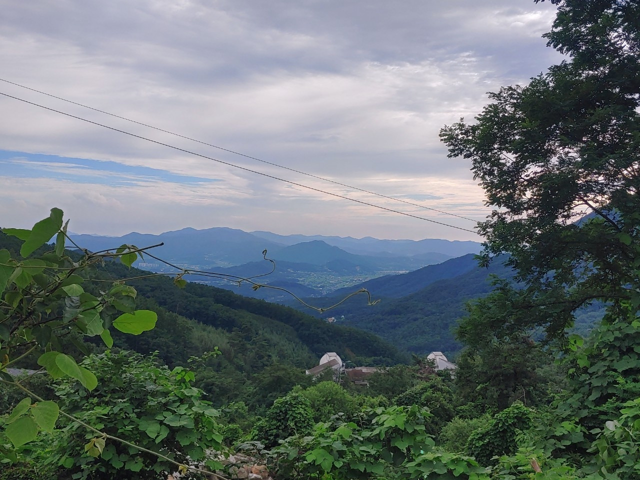 3_g59Ud018svc49mygtx79qtp_oh6i9t (1).jpg