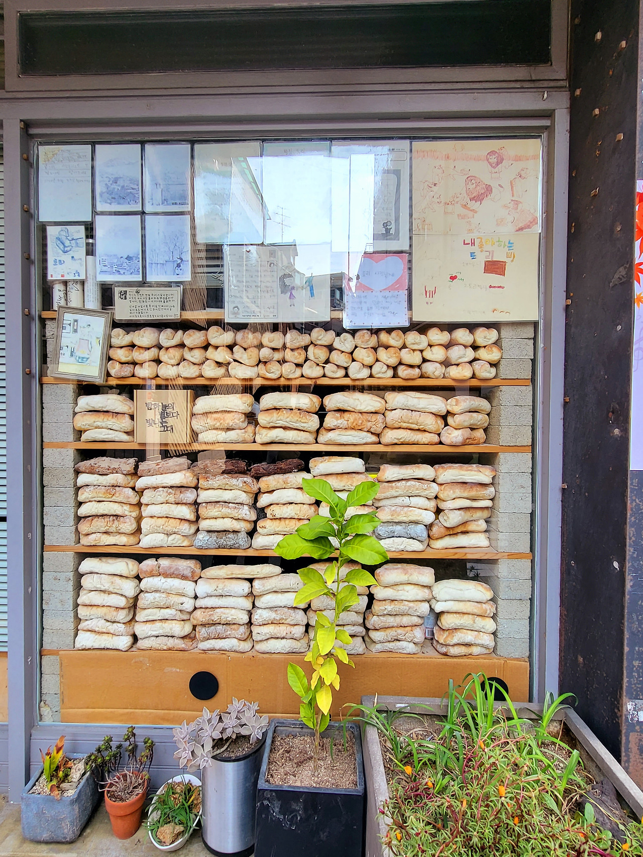 빵벽.jpg