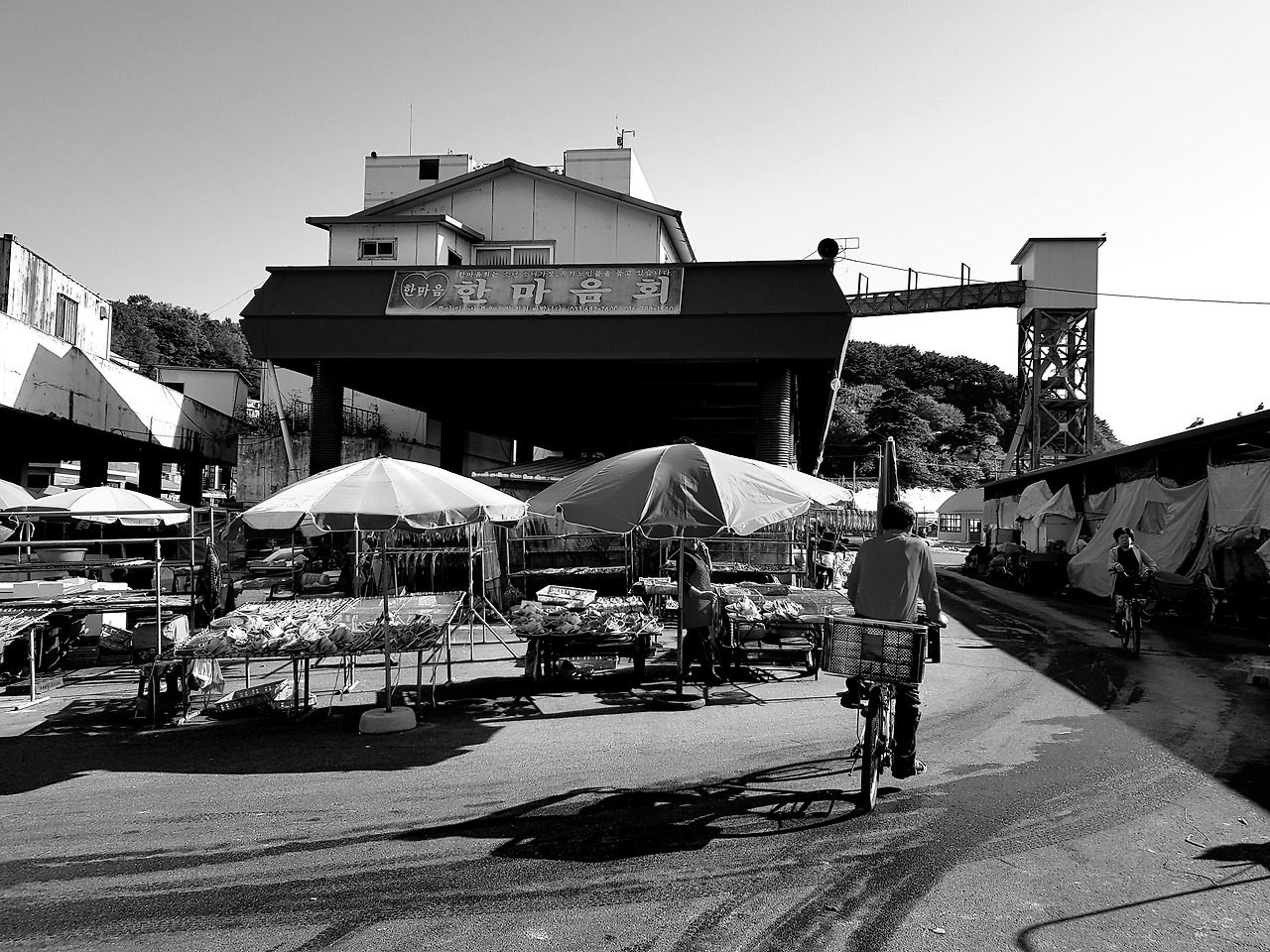 흑백 자전거와 시장.jpg