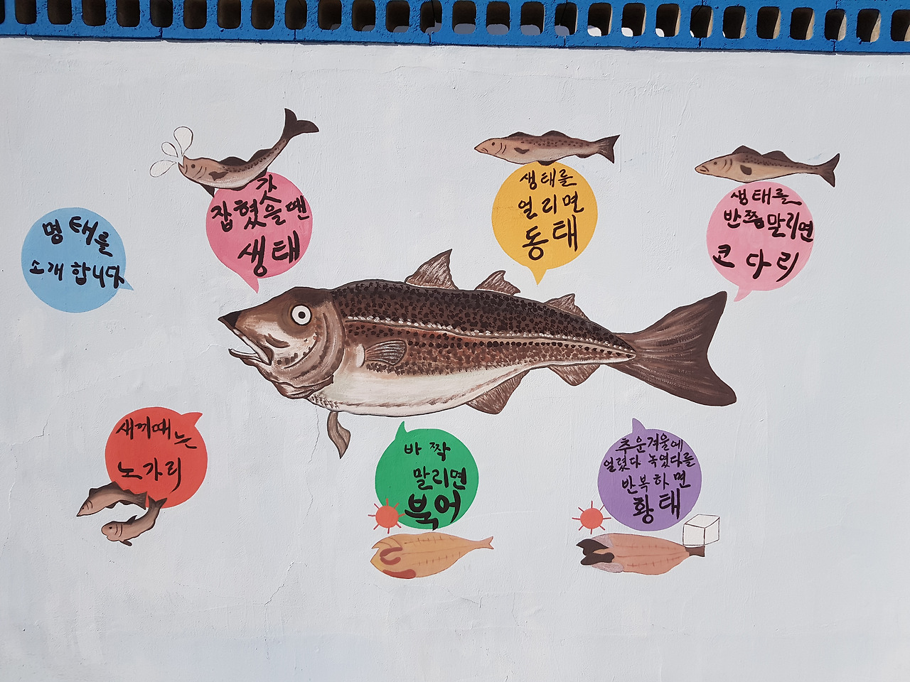 명태의 다양한 이름.jpg