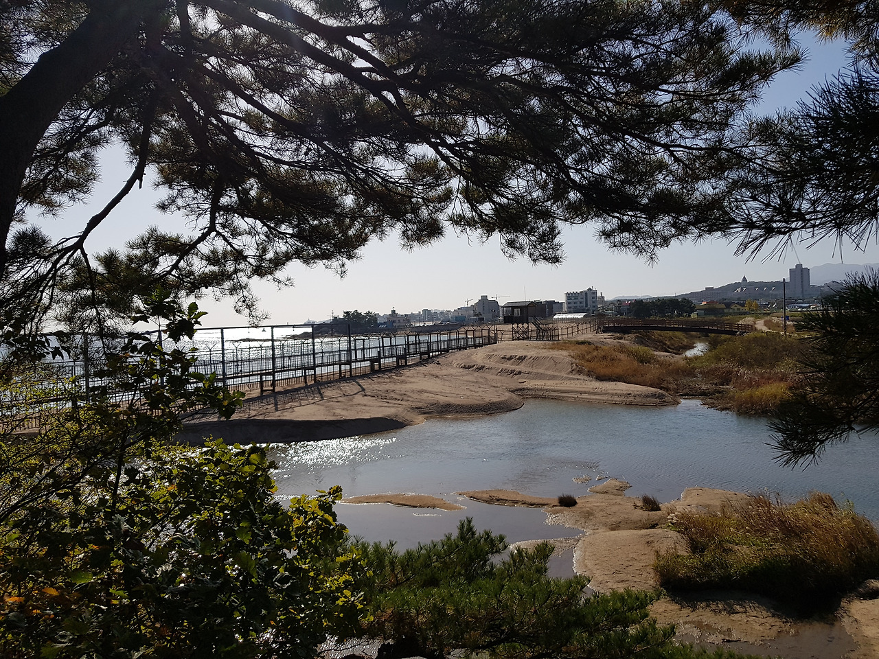 청간정에서 바라본 철책1.jpg