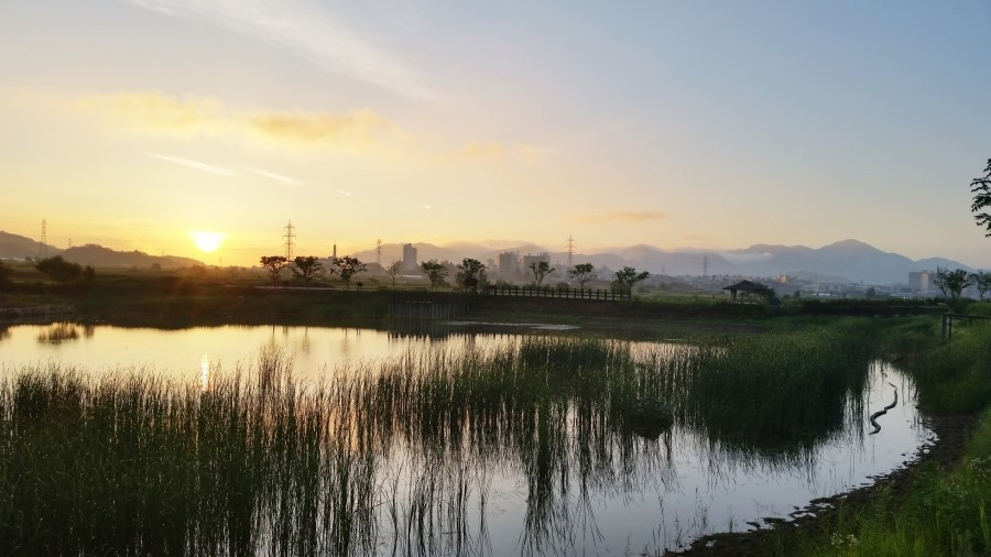 2난쏘공 방죽.jpg