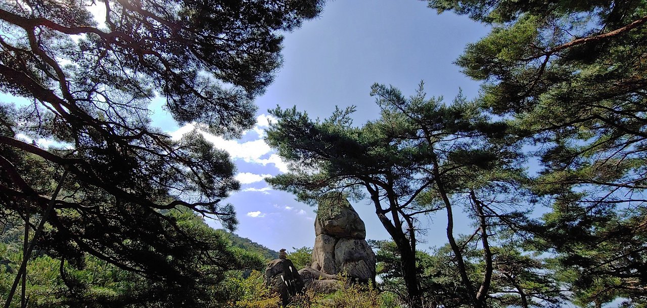 갑사 천진보탑.jpg