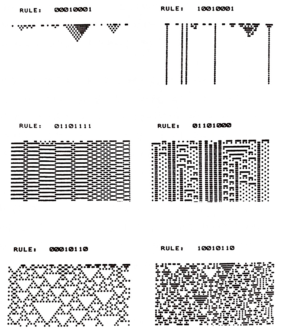 cellular automata.jpg