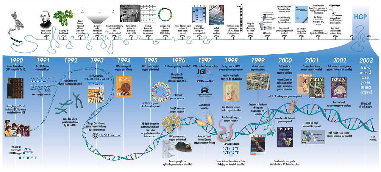 Human_Genome_Project_Timeline_(26964377742).jpg