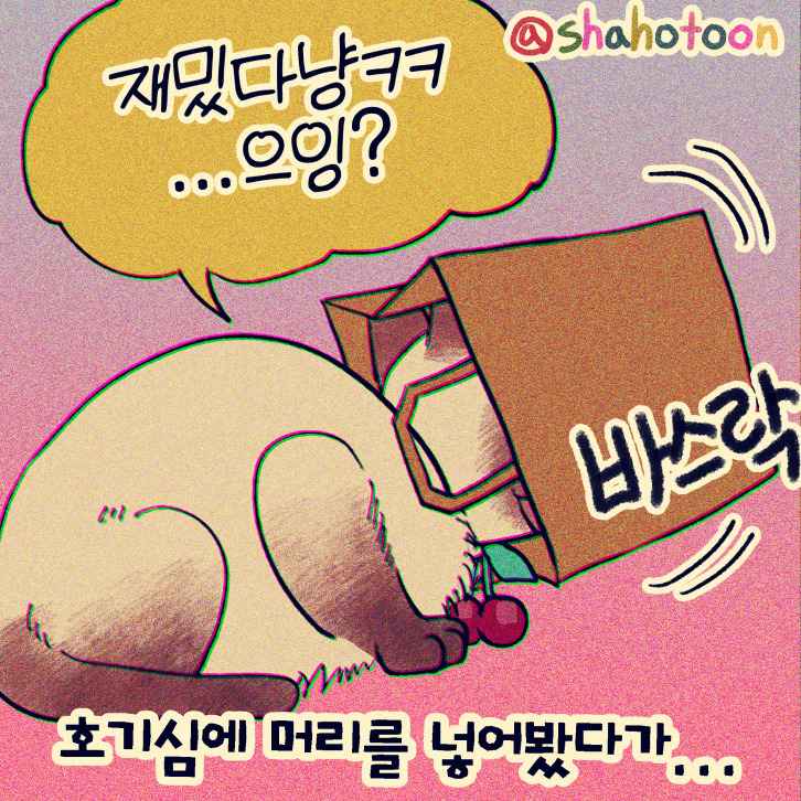 220717 샤호웹툰 20. 머리에 봉투 끼고 돌아다니기 02.jpg