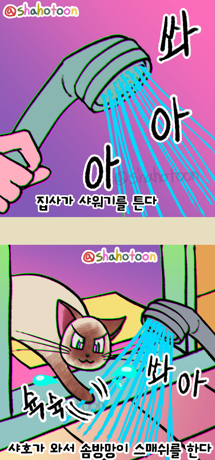 샤호 웹툰 12. 샤워기에서 나오는 물을 솜방망이 스매쉬 업로드용.jpg