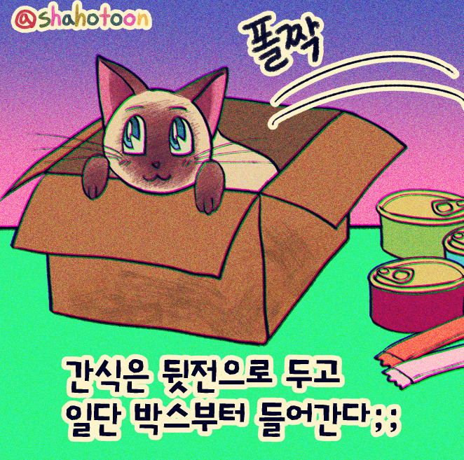 220904 샤호웹툰 21. 택배오면 츄르보단 박스에만 관심 04.jpg