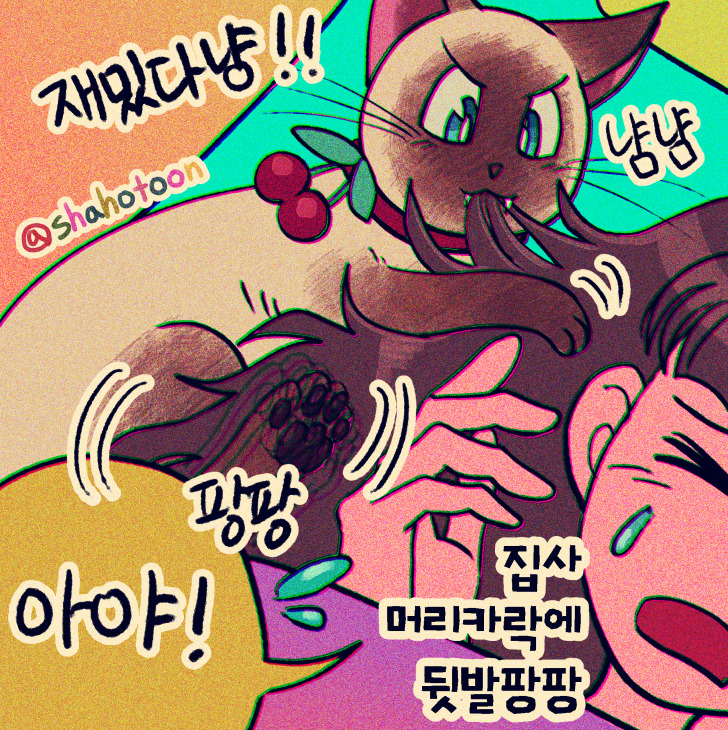 220625 샤호 웹툰 18. 집사 머리카락 쥐어 뜯기 02.jpg