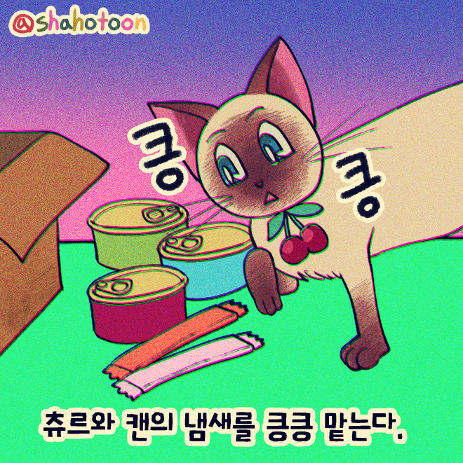 220904 샤호웹툰 21. 택배오면 츄르보단 박스에만 관심 03.jpg