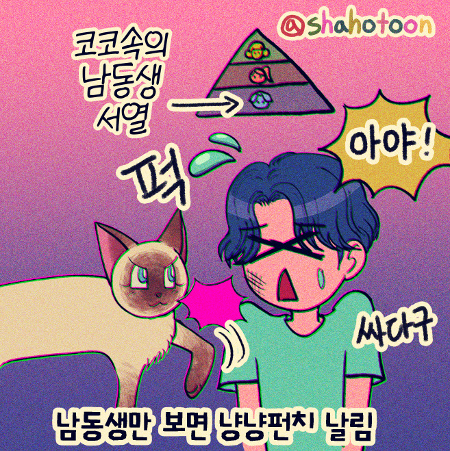 220722 제보툰 02. 남동생은 서열 꼴찌 02.jpg