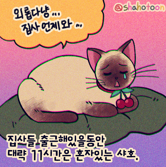 220410 샤호 웹툰 17. 집사 발소리를 기억하고 마중나오는 샤호 01.jpg