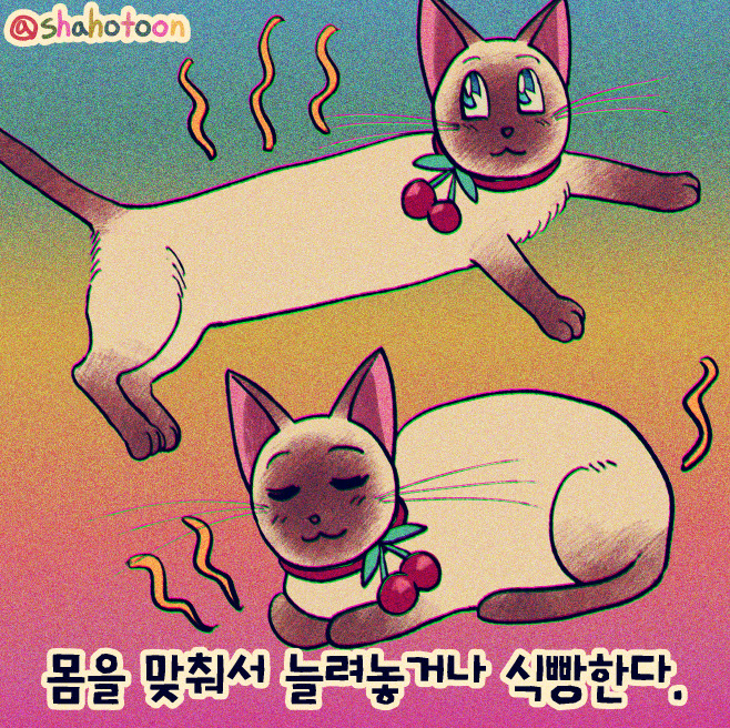 220306 샤호 웹툰 16. 보일러 뜨끈한 부분만 골라 앉는 샤호 03.jpg