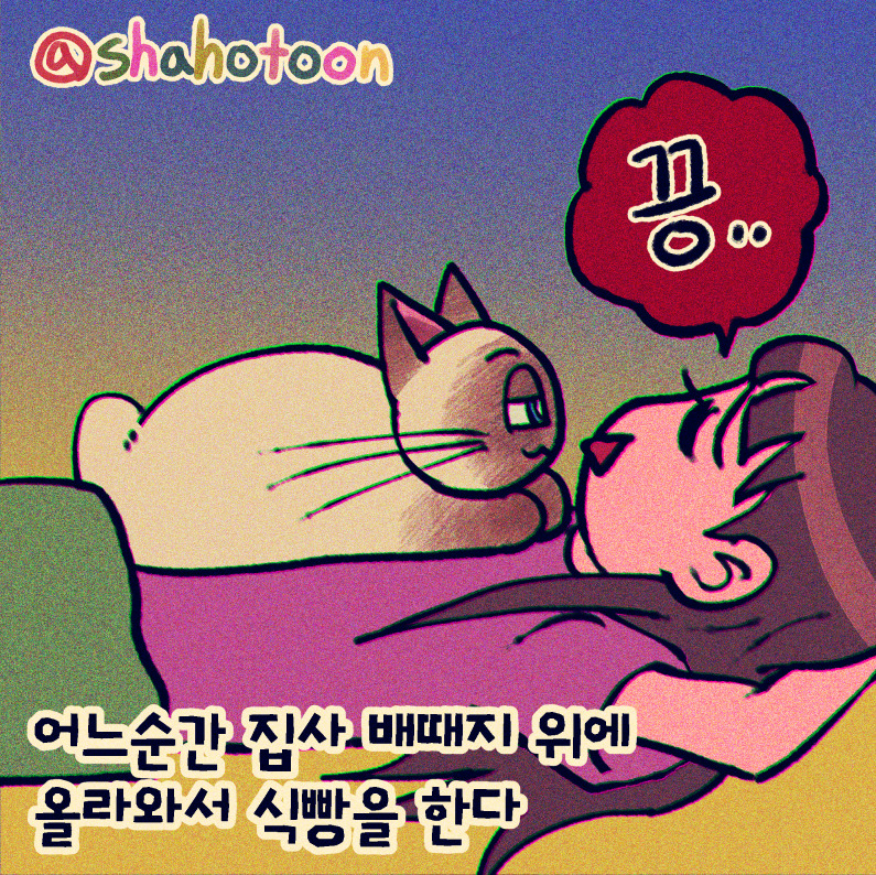 211120 샤호 웹툰 11. 집사 배때지 위에서 식빵 02.jpg