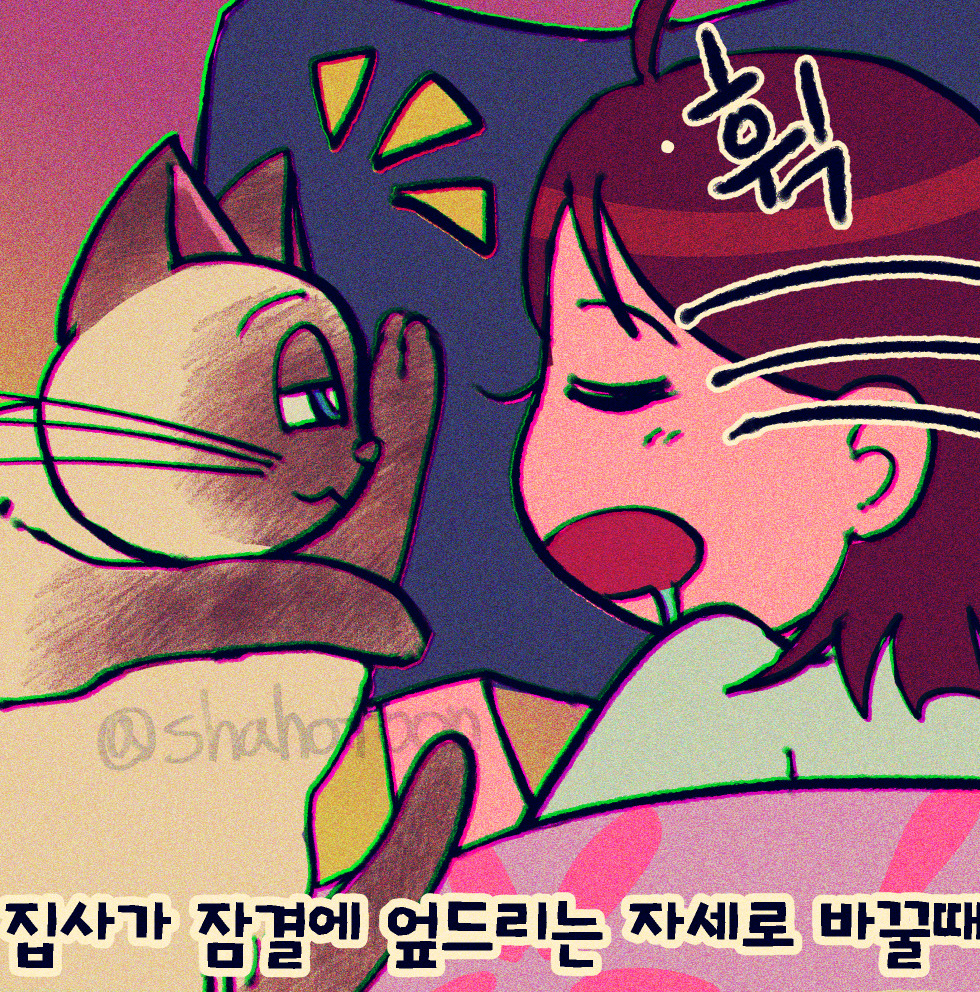 211114 샤호 웹툰 10. 집사 잘때 솜방망이로 집사얼굴을 톡톡 건드림 02.jpg