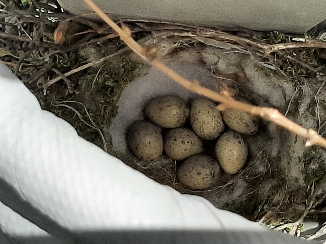 KakaoTalk_20220507_130944600 (1).jpg